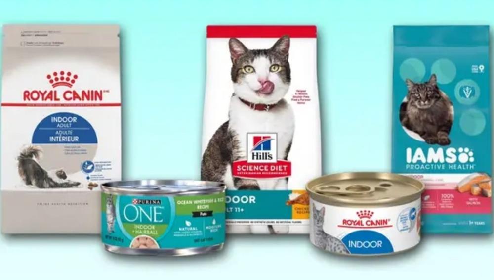 أفضل أنواع اكل القطط رويال كانين