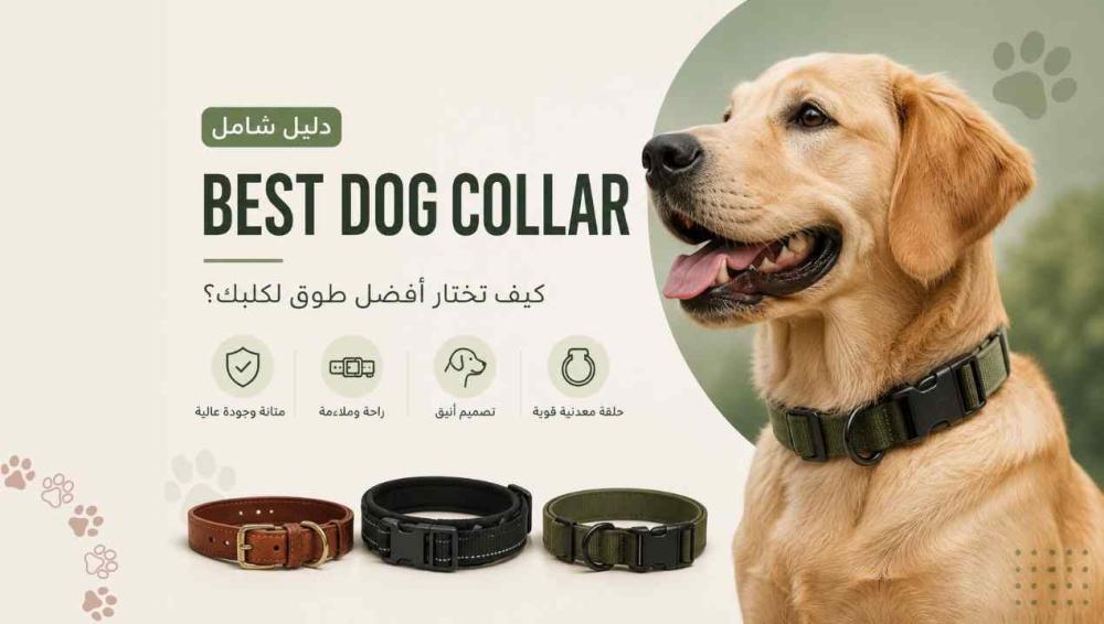 أفضل طوق للكلاب