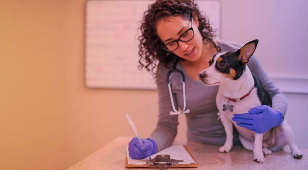 أمراض الحيوانات الشائعة