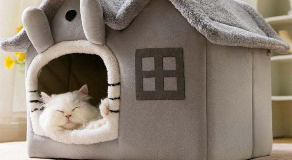 أفضل بيت قطط