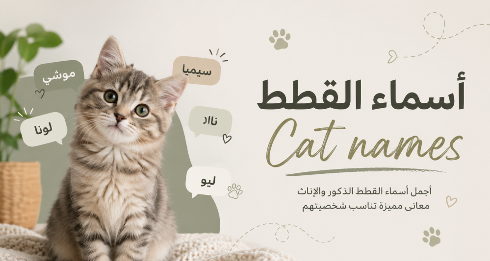 اسامي قطط