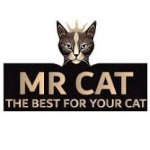 Mr. Cat