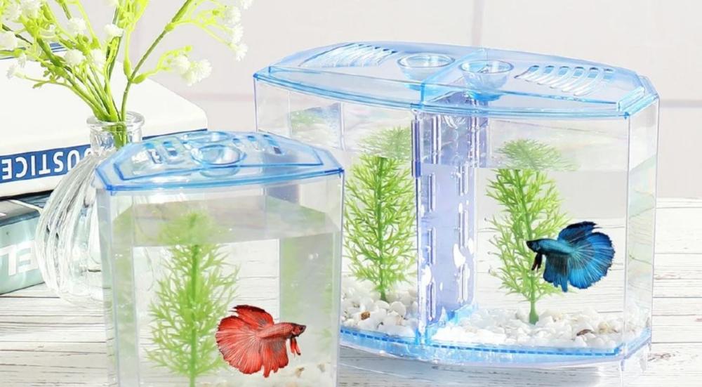 اسعار احواض السمك البلاستيك