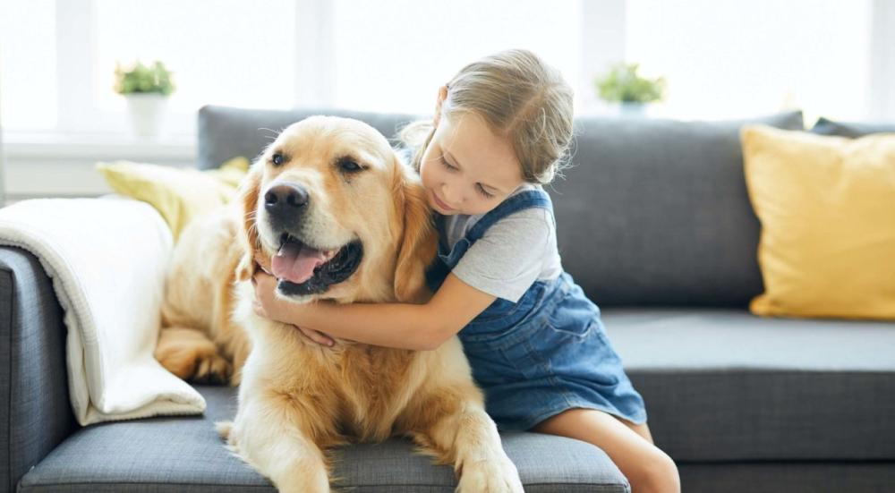 حيوانات اليفة للاطفال