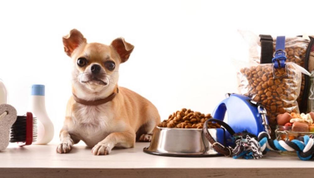 مستلزمات حيوانات اليفة