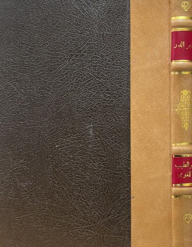 شجر الدر في تداخل الكلام بالمعاني المختلفة