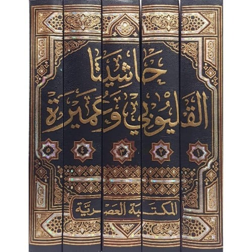حاشيتا القليوبي وعميرة على كنزالراغبين شرح منهاج ا...