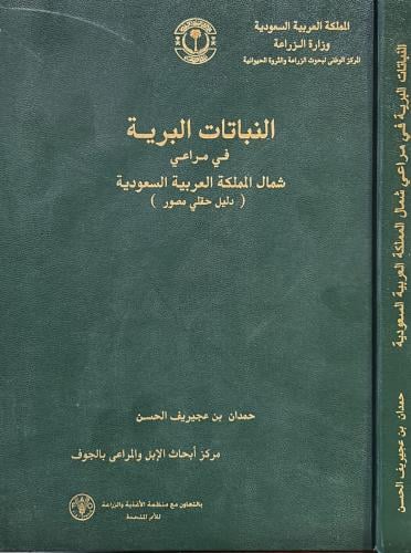 النباتات البرية في مراعي شمال المملكة العربية السع...