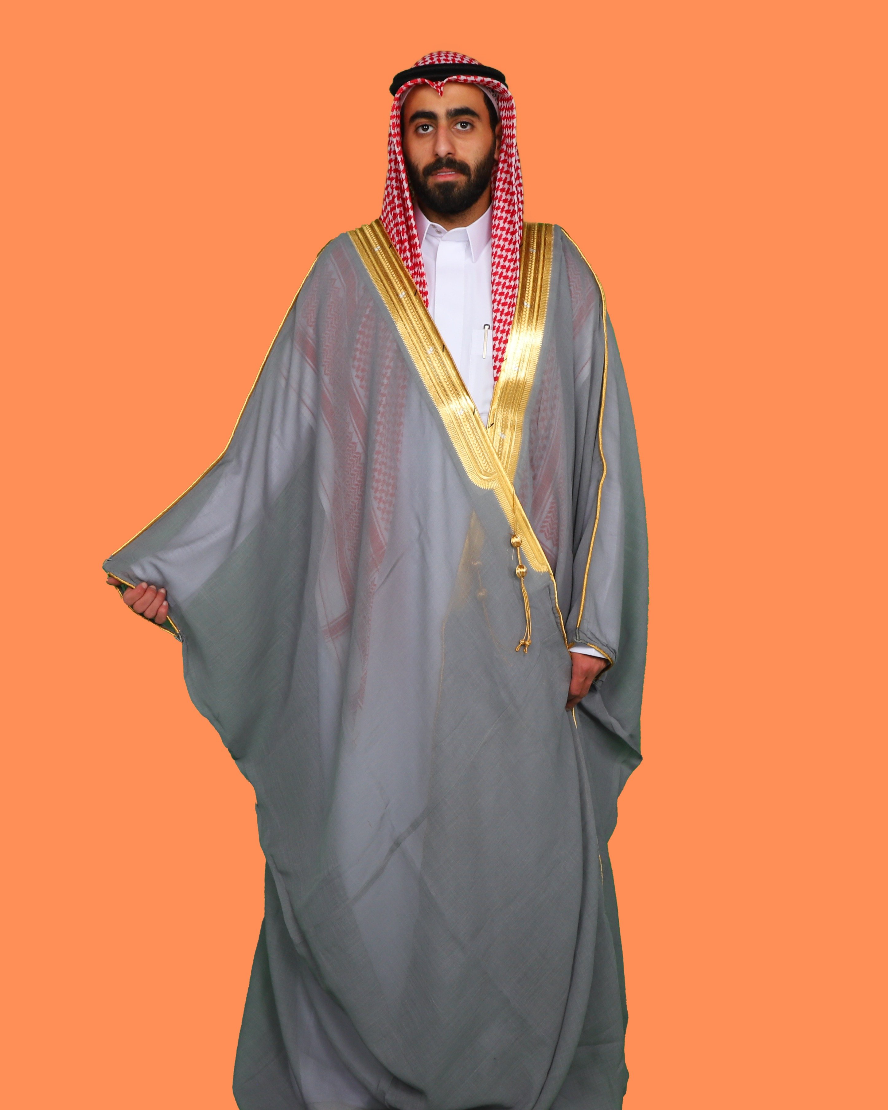 بشت رصاصي غامق