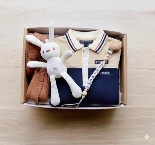 صندوق بقطعة تومي هيليفر