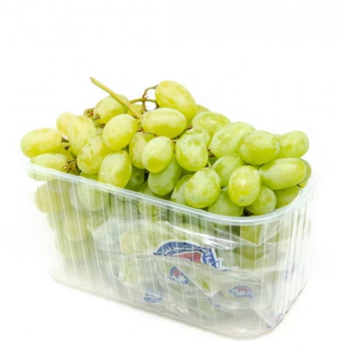 عنب اخضر