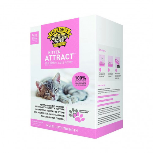 cat attract walmart