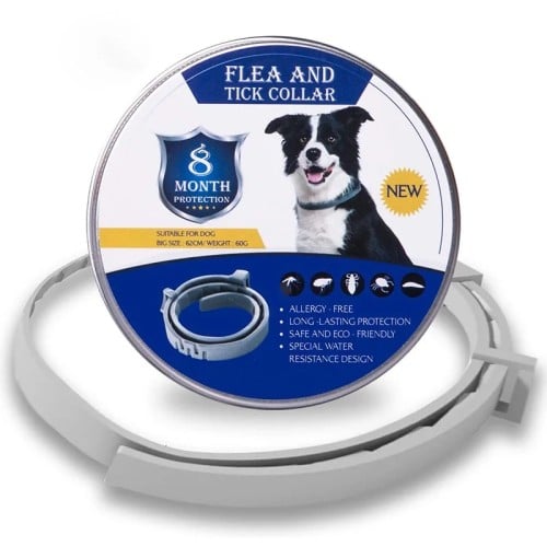 طوق للحماية من الحشرات