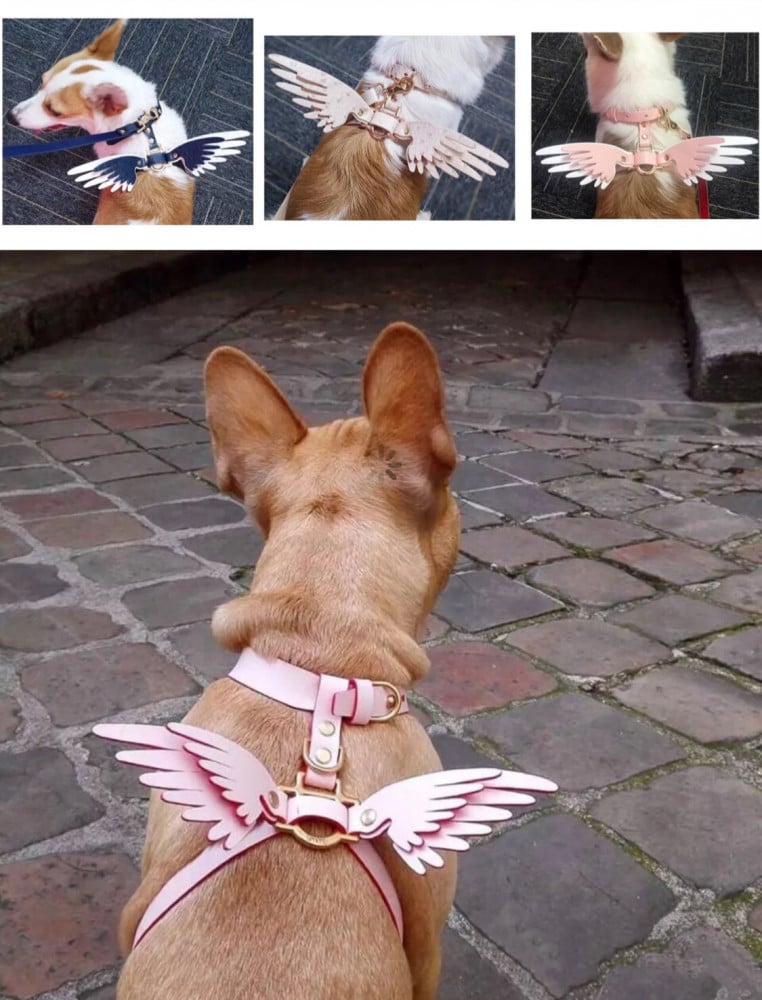 leather angel wing dog harness