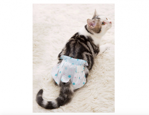 Healthy pet pant 10 pieces in different sizes