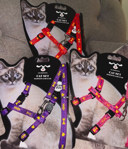 مشد مع ليش للقطط برسومات والوان متعددة