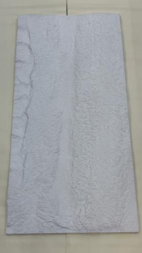 بديل الحجر C1
