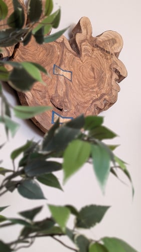 جرووت (Groot The Wall Keeper)