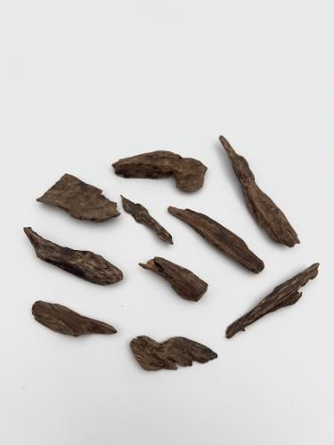 نوادر عود قديم