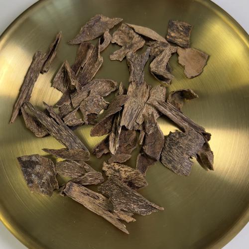 ماليزي اندروتر ( غطاس )