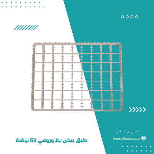طبق بيض بط ورومي 63 بيضة