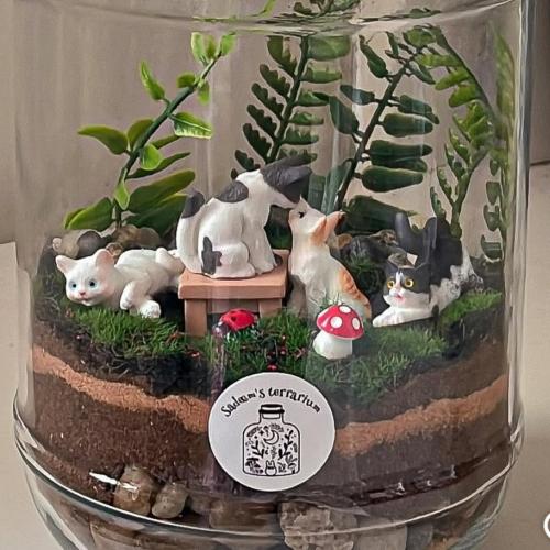 Cats forest/fairy
