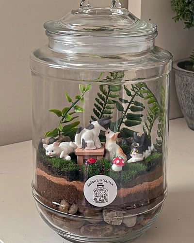 Cats forest