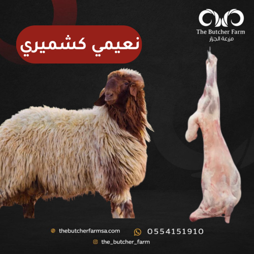 نعيمي كشميري