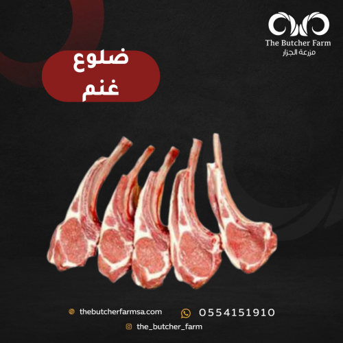 ضلوع غنم (ريش)