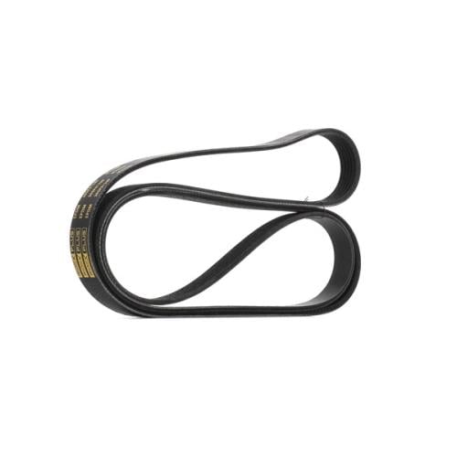 سير مكينة - صالون 8سلندر - موديل : 1998 إلى 2007 - رقم القطعة : 90916-02585 - أصلي