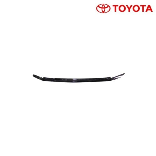 نيكل شبك امامي تحت كبير - راش - الموديل: 2018- 2022 - رقم الموديل: 53122-BZ180 - اصلي