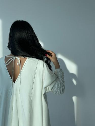 V jlabya White