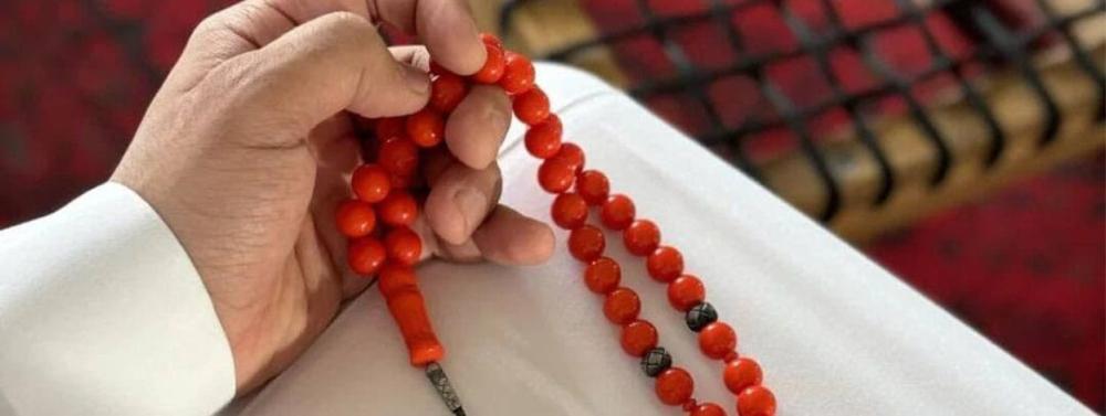 اختَر بكج السبح الفاخرة المناسب لك من متجر تالد – الخيار الأول في السع