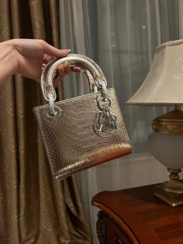 Lady Dior Python metallic silver Greyish