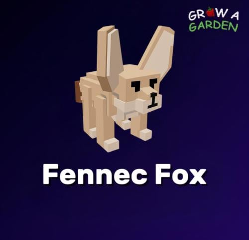 ثعلب الفينك / Fennec Fox