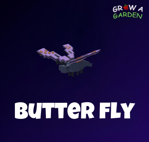 الفراشه / Butter Fly