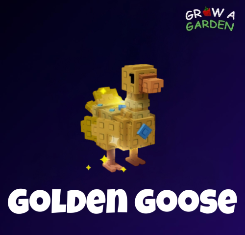 الوز الذهبي / Golden Goose