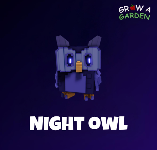 بومه الليل / Night Owl