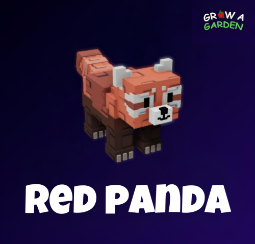 الباندا الاحمر / Red panda