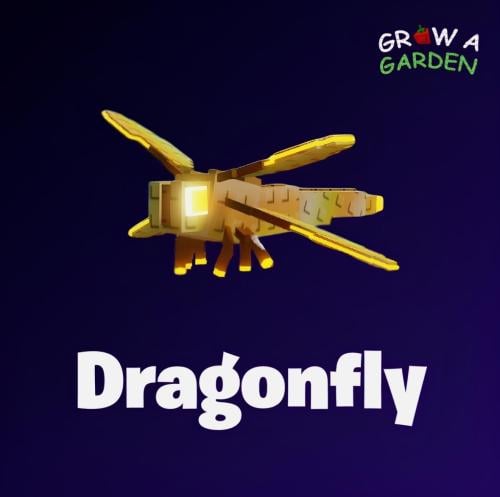اليعسوب / Dragon Fly