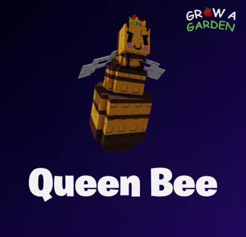 ملكه النحل / Queen Bee