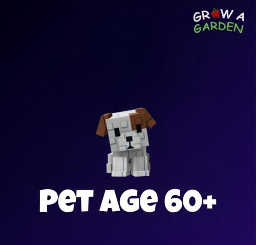 حيوان عمره +60 / Pet Age +60