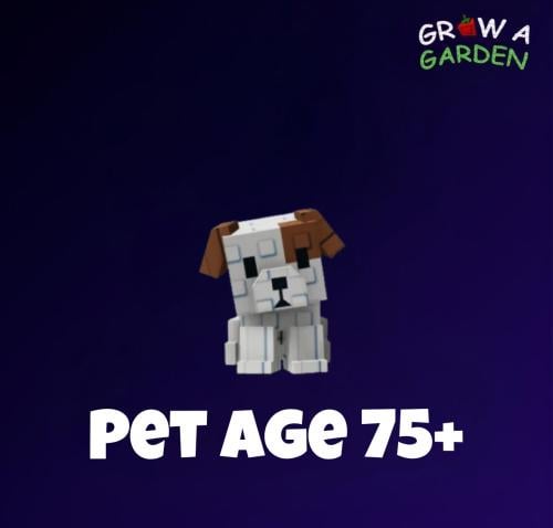 حيوان عمره +75 / Pet Age +75