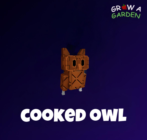 بومه مطبوخه / Cooked Owl
