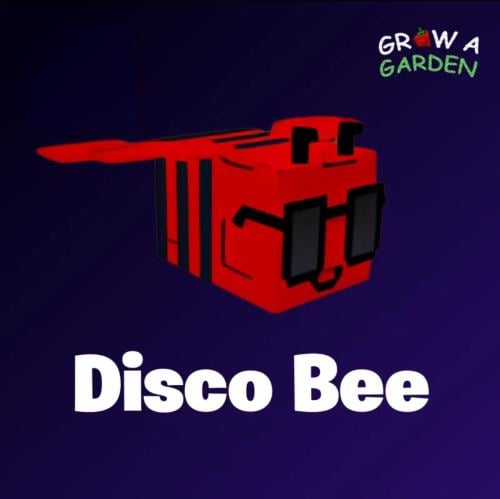 ديسكو بي / Disco Bee