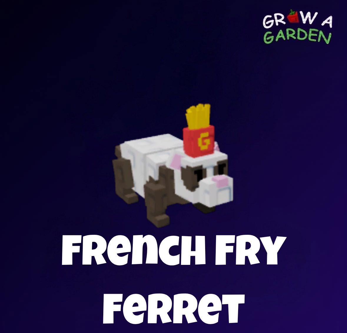 النمس / French Fry Ferret