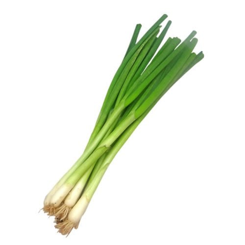 بذور بصل أخضر