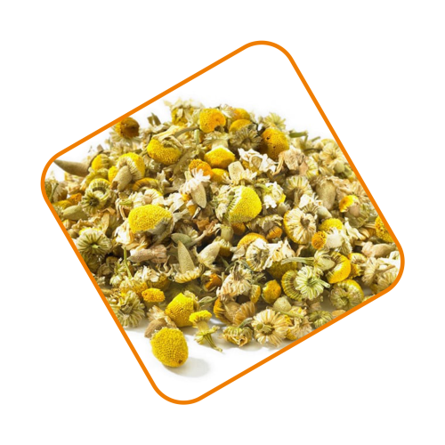 بابونج