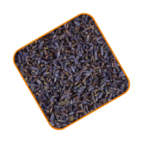 خزامى