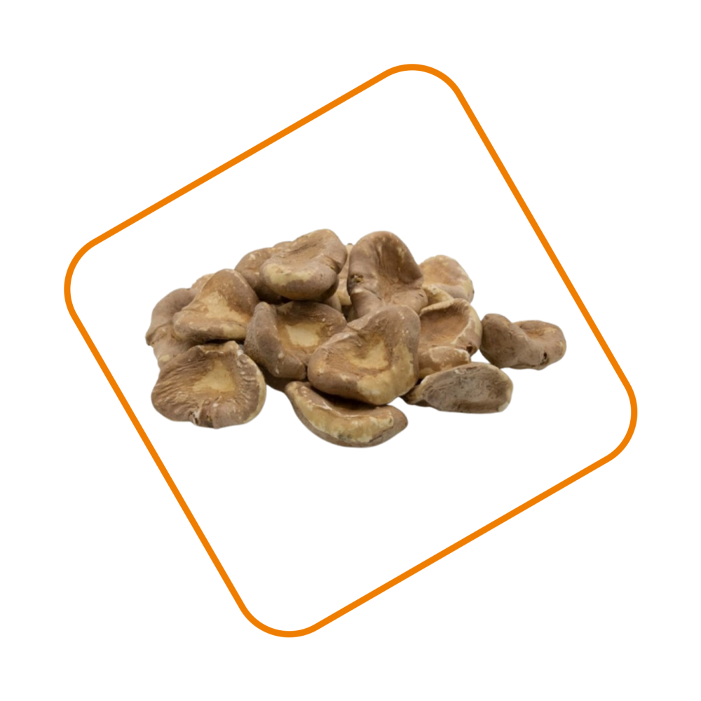 خميرة البيرة حب